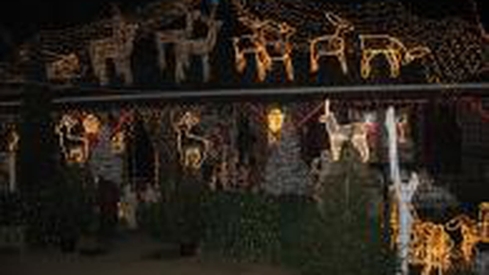 Guarbecque