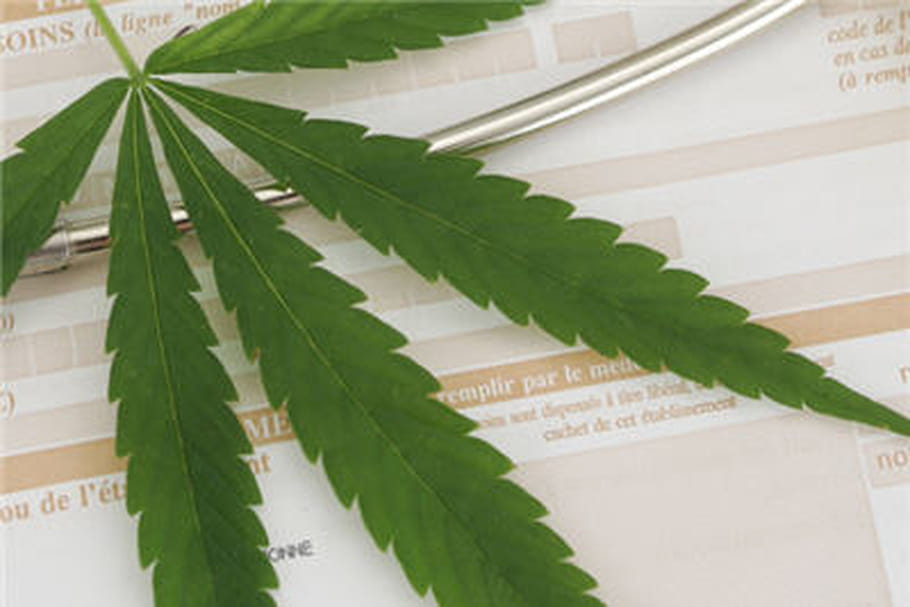 Un malade condamné pour usage thérapeutique du cannabis