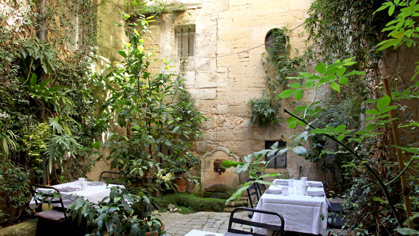 Cour