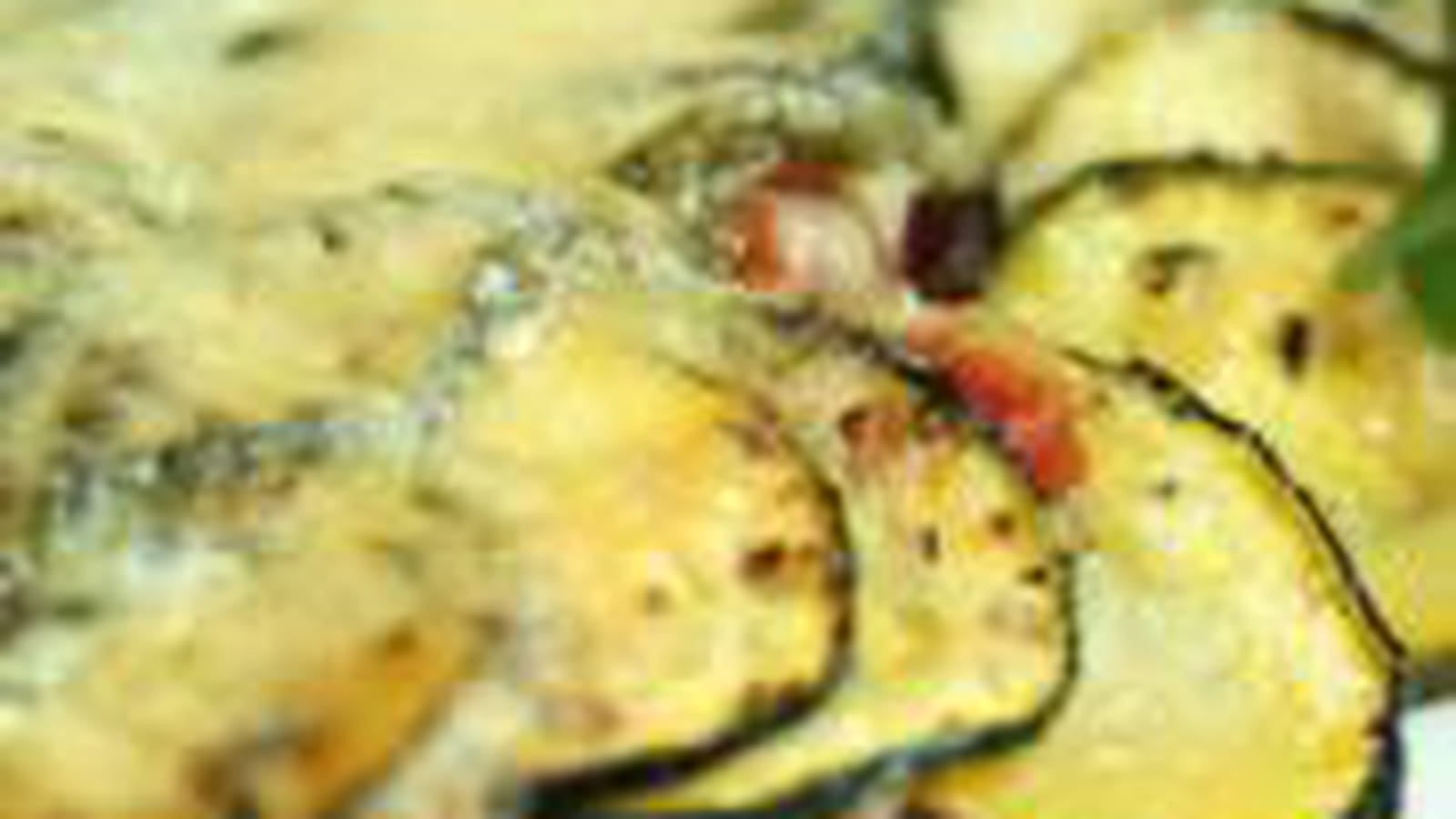 Tian courgette, tomate et mozzarella