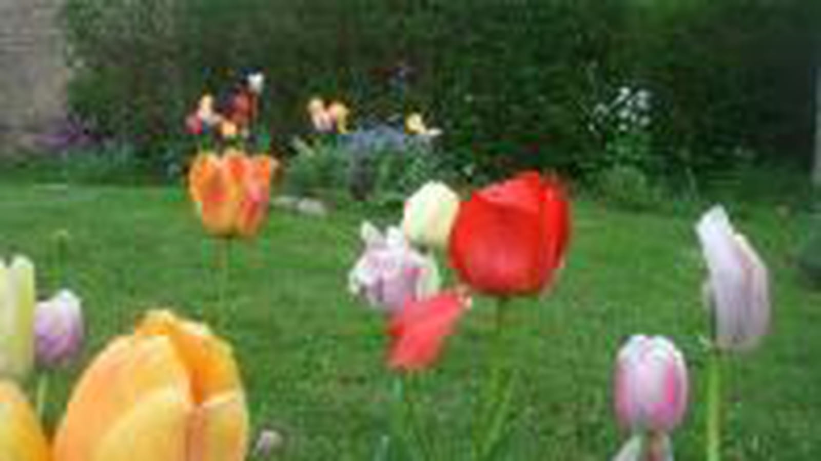 Couleurs
