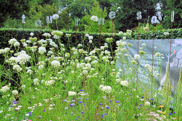 Essence, &ccedil;a pousse&nbsp;!