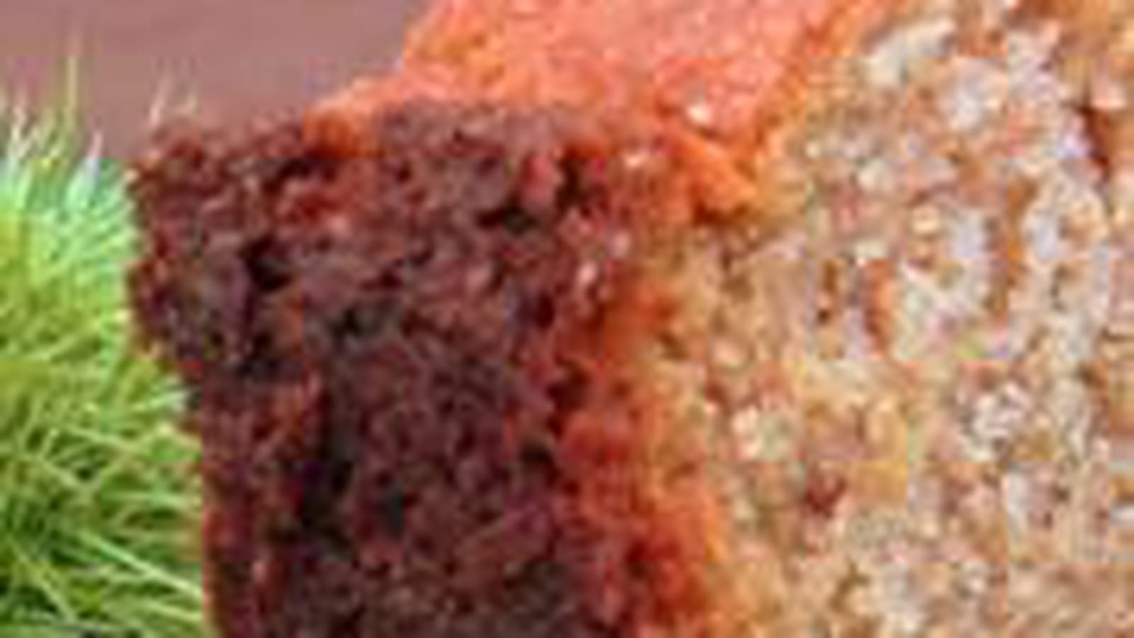 Cake farine de châtaigne