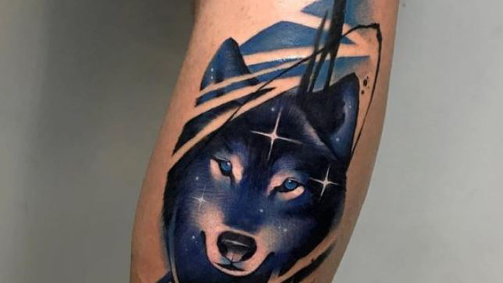 Loup bleu sur le mollet