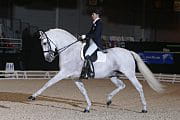 masters de dressage 1