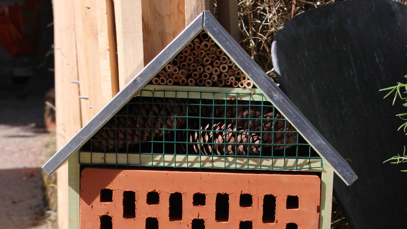 Hôtel à insectes