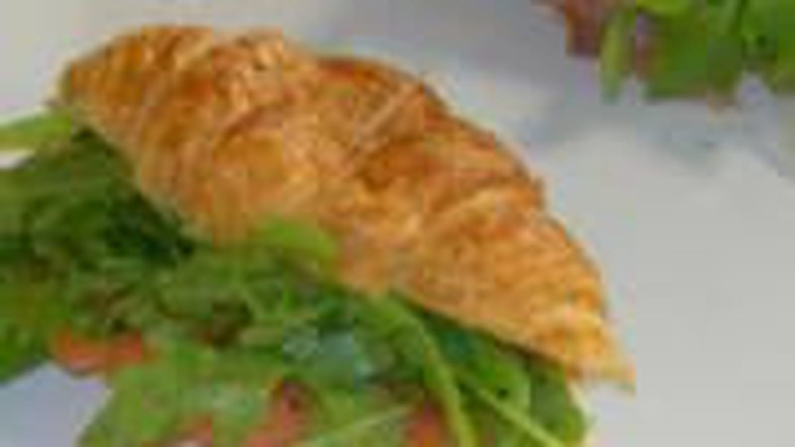 Mini-croissant saumon et roquette