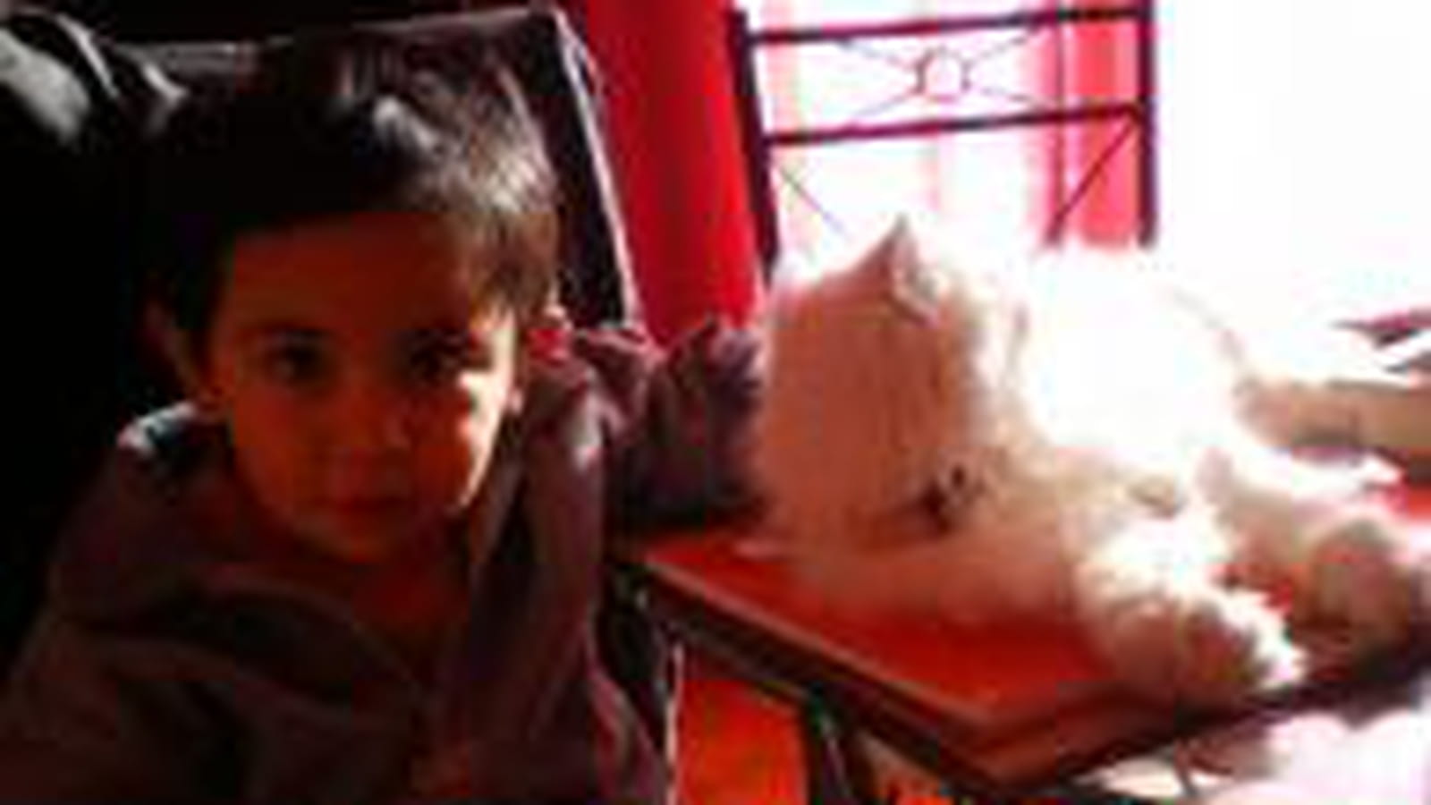 Complices
