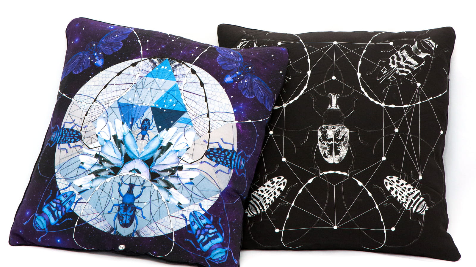 Coussins nocturne & insectes