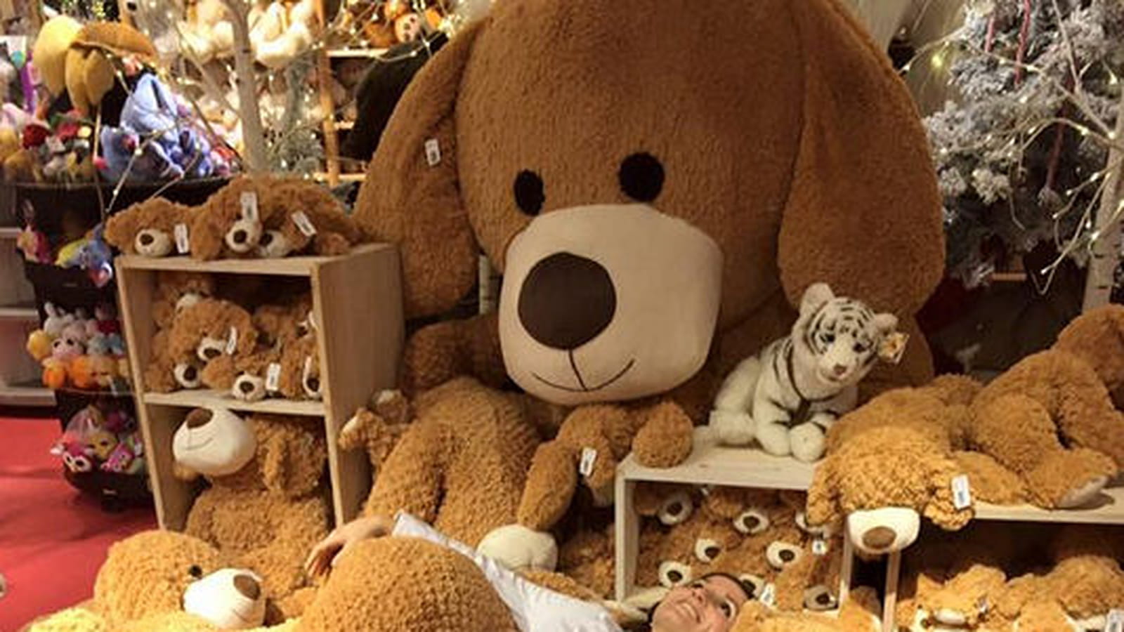 Noëmie Honiat au pays des peluches