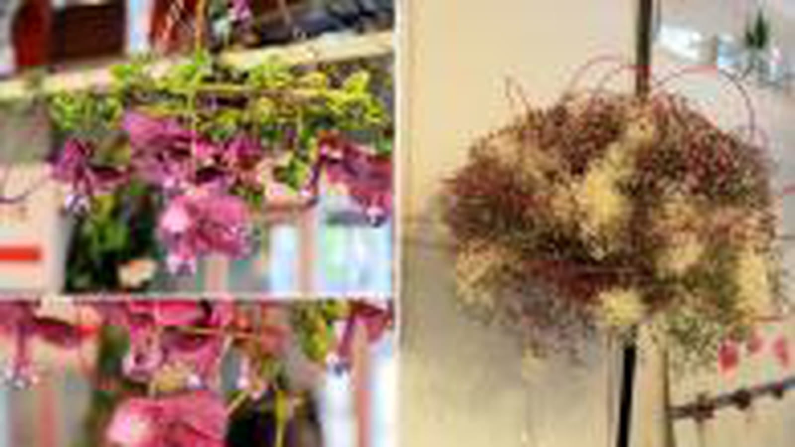 Fleurs par milliers