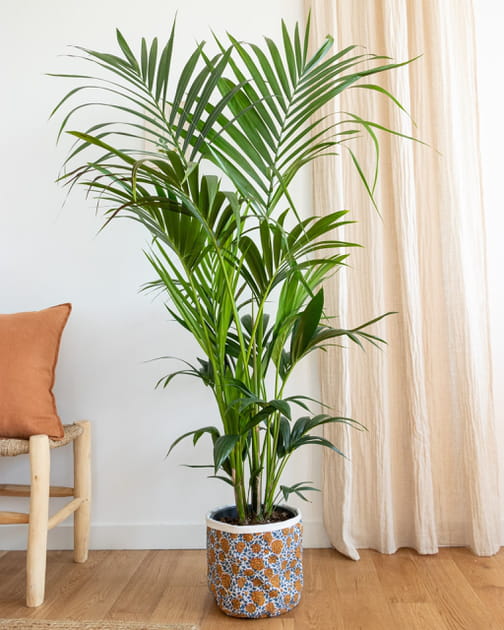 Cache-pot en tissu de Bergamotte