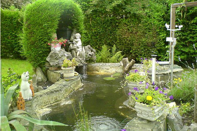 Un bassin en forme de poisson