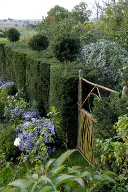 Travail du bois et de tressage