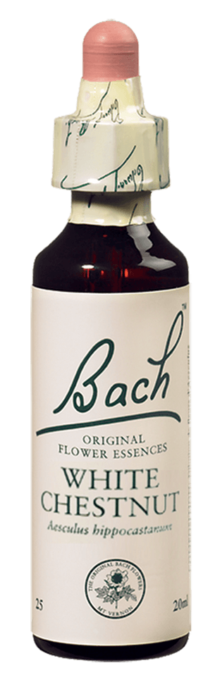 White Chesnut (marronnier blanc) : en finir avec les White Chesnut (marronnier blanc) : en finir avec les