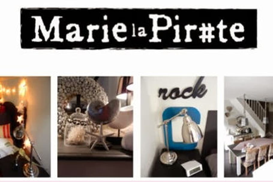 Le blog du moment : Marie la Pirate