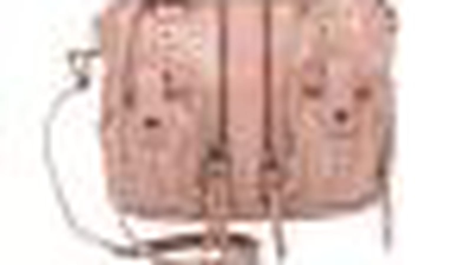 Le sac de Petite Mendigote
