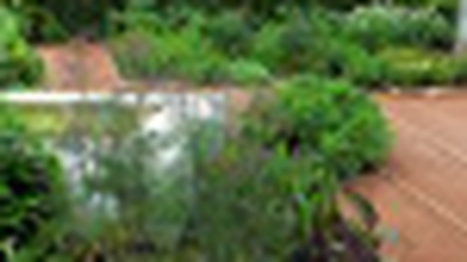 Le jardin La halte
