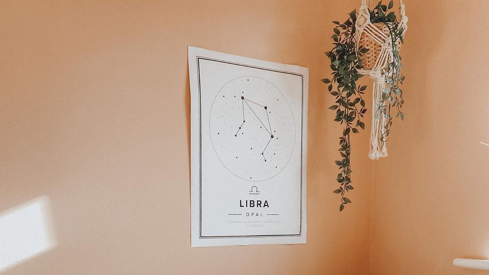 Affiche Zodiac