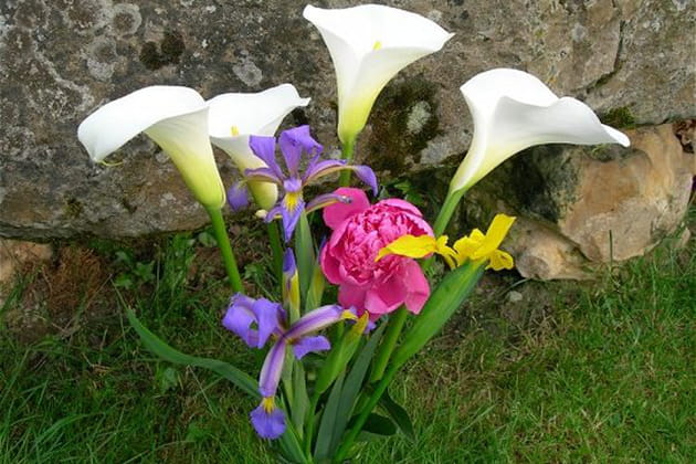 Un bouquet au naturel