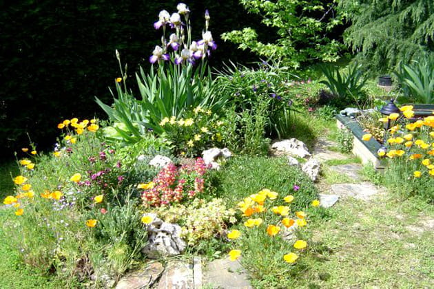 Un jardin aux lignes &eacute;pur&eacute;es