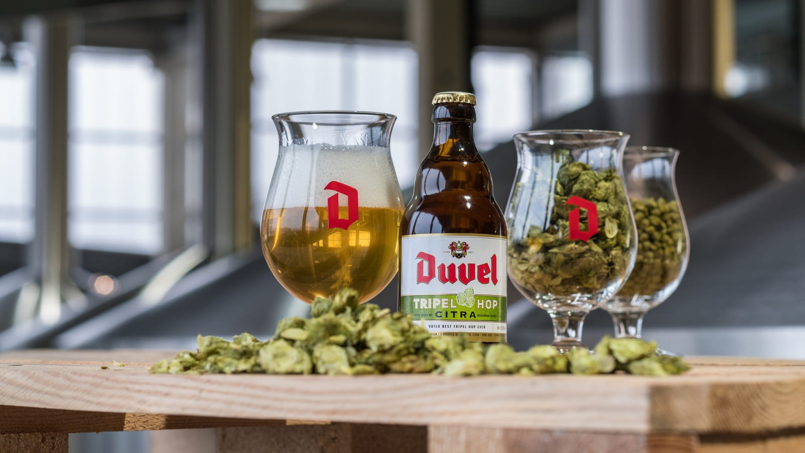 La Tripel Hop Citra de Duvel
