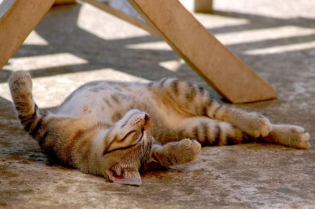 Vive les vacances au soleil !