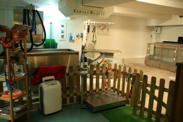 Une petite beaut&eacute;&nbsp;!