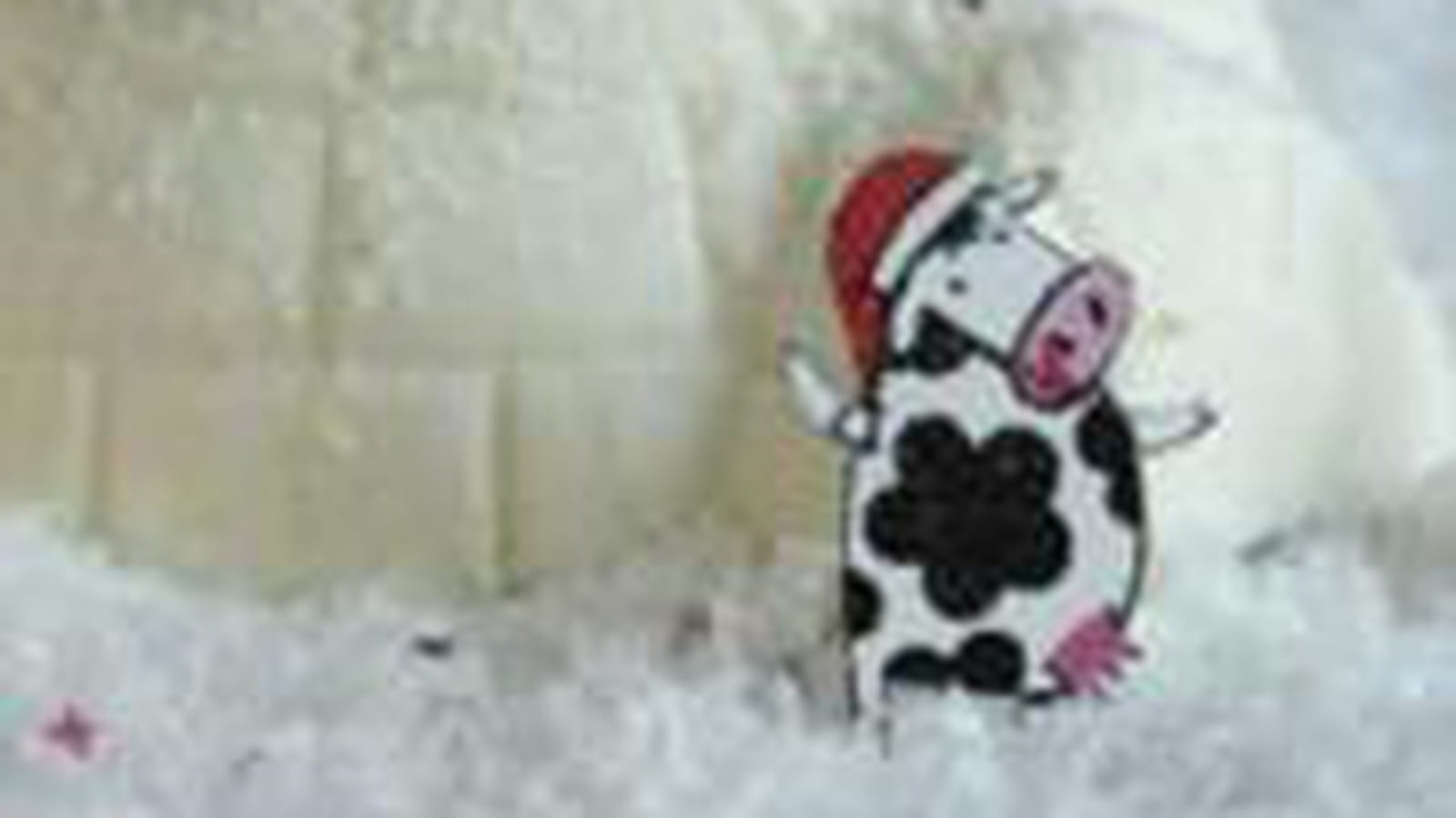 Igloo coco vanille mangue