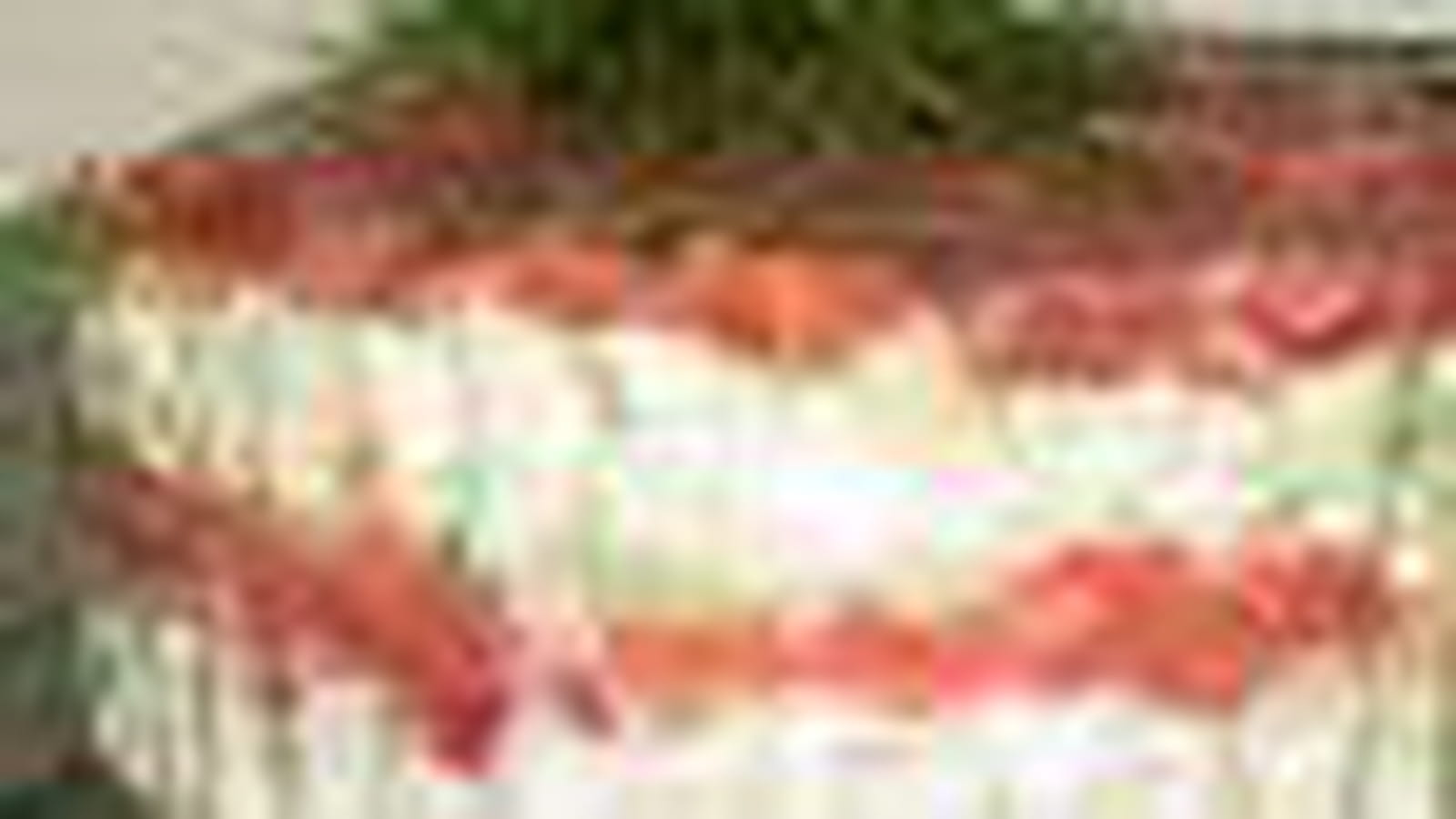 Saumon