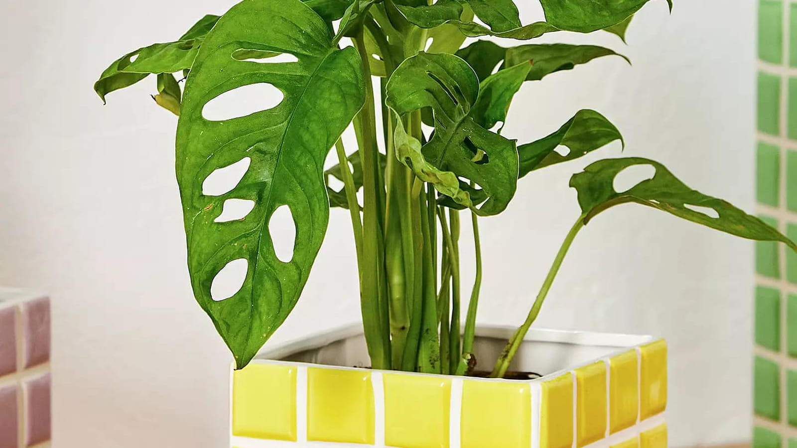 Pot à carreaux Urban Outfitters