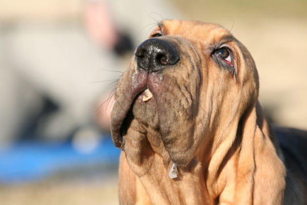 Griso, l'athl&egrave;te