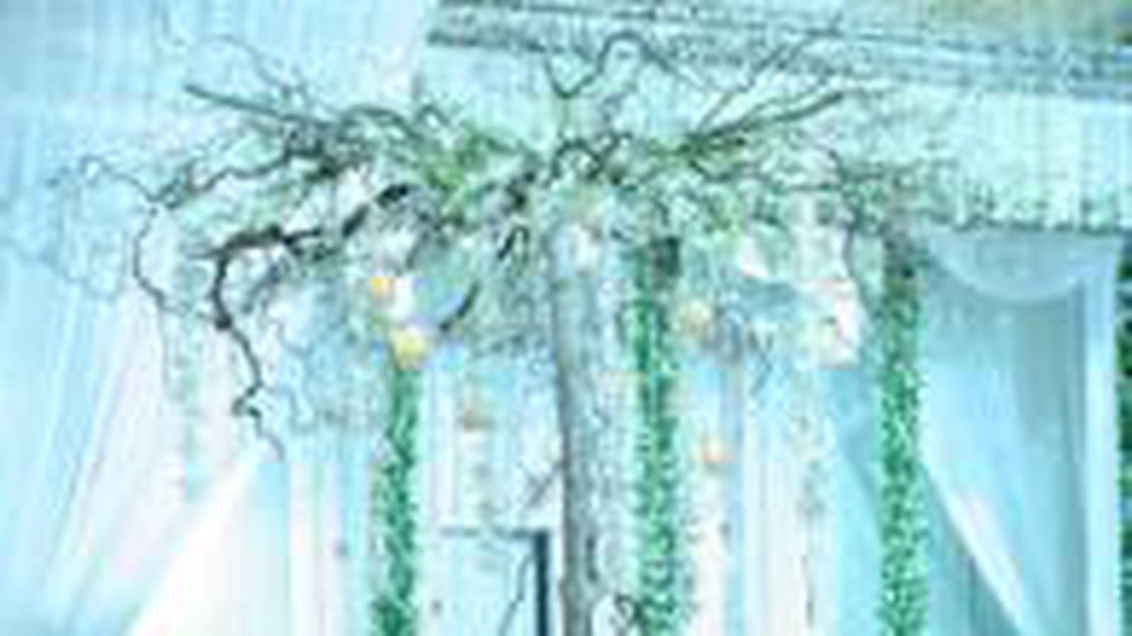 Mariage en hiver