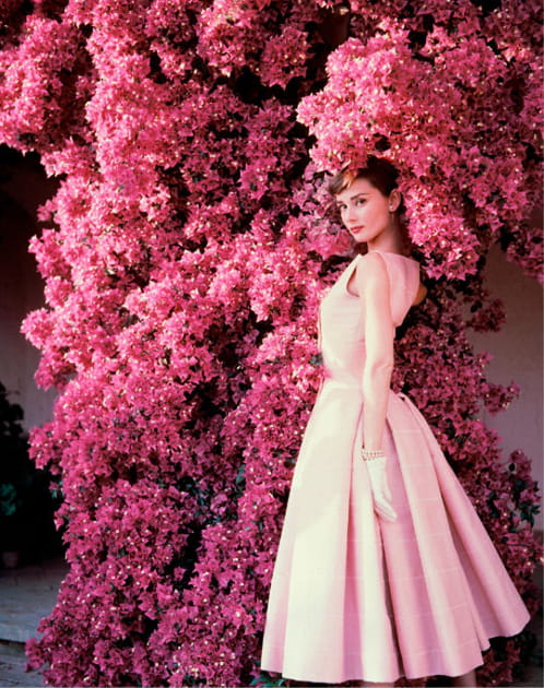 Audrey Hepburn, Vogue, 1955