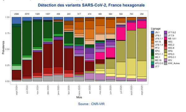 Variants Covid 2025