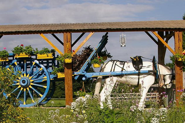 Un cheval qui rentre des foins
