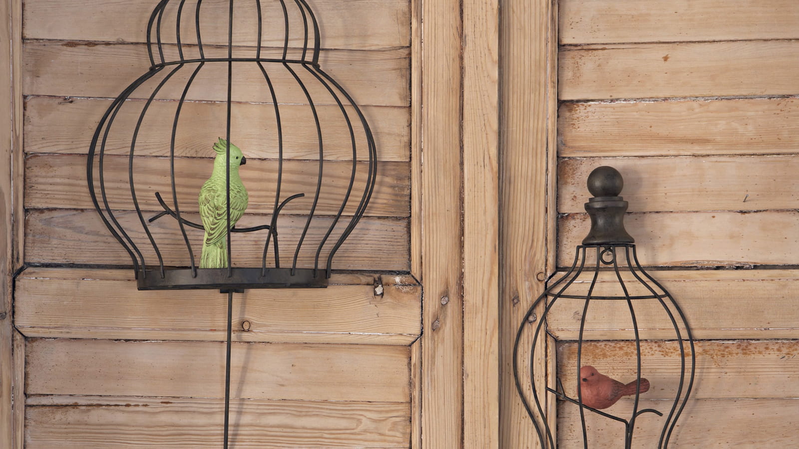 Demi cage Becquet