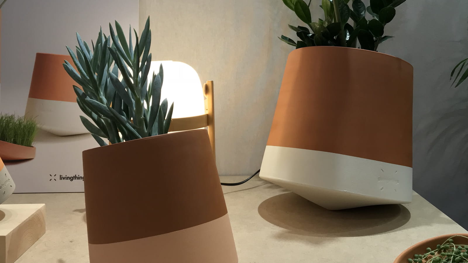 Vase Voltasol Living Things 