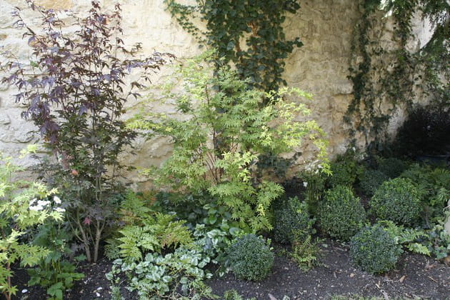 Scénographie végétale