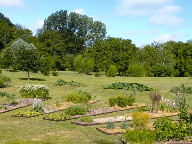 Un jardin potager à sept branches