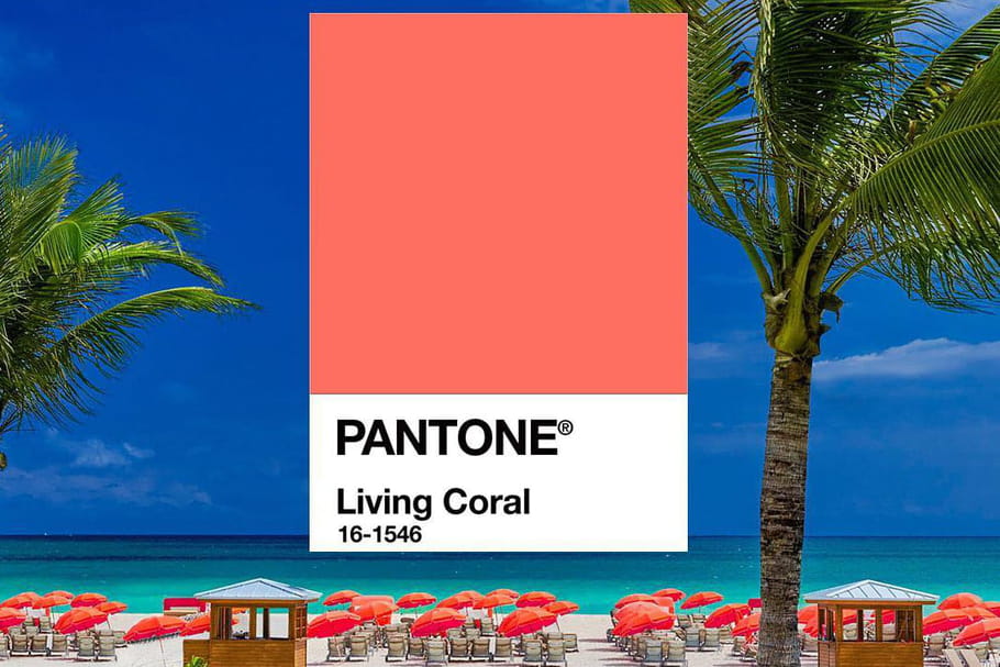 La couleur Pantone 2019 est un corail qui donne la pêche !