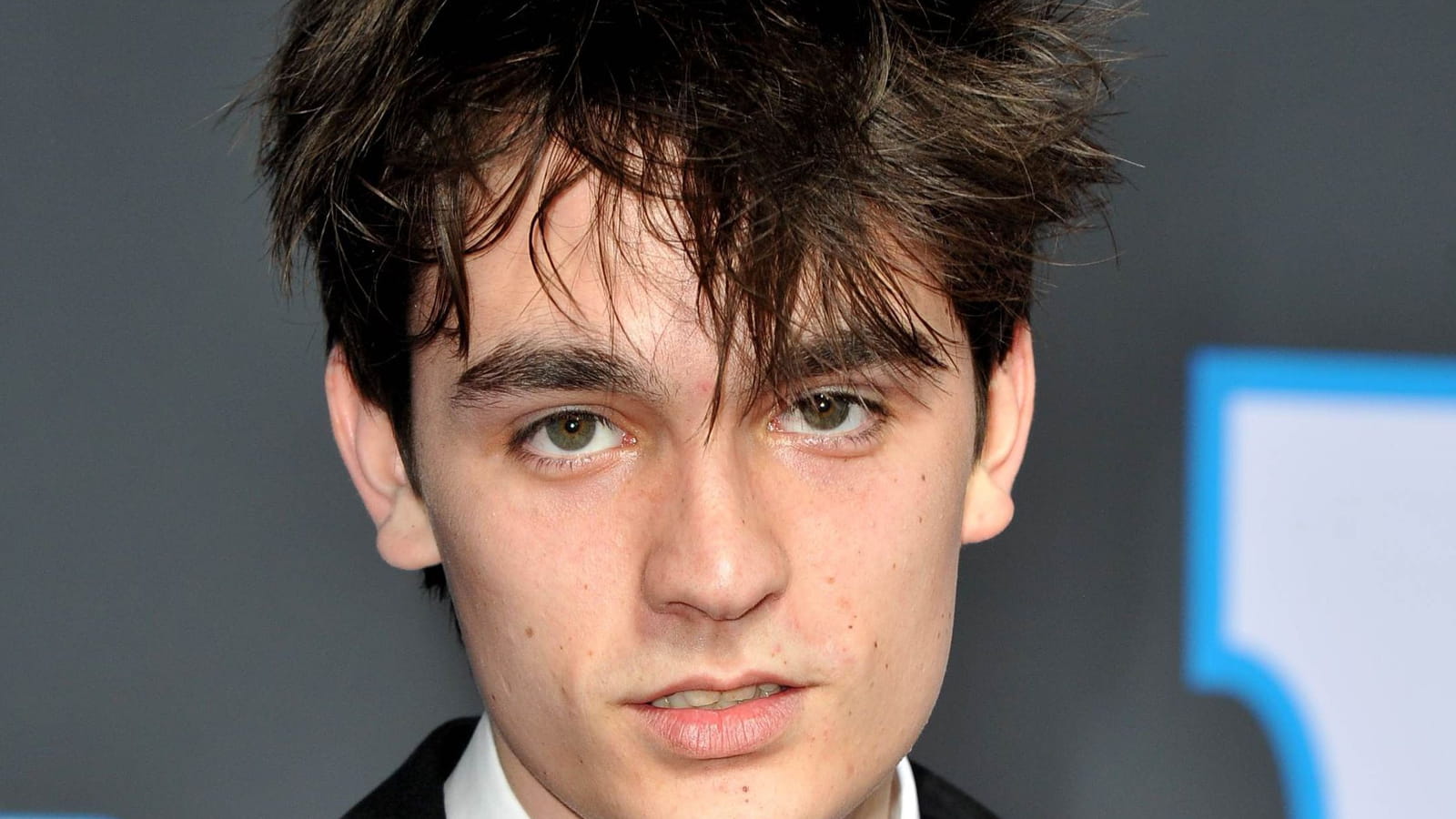 Alain-Fabien Delon