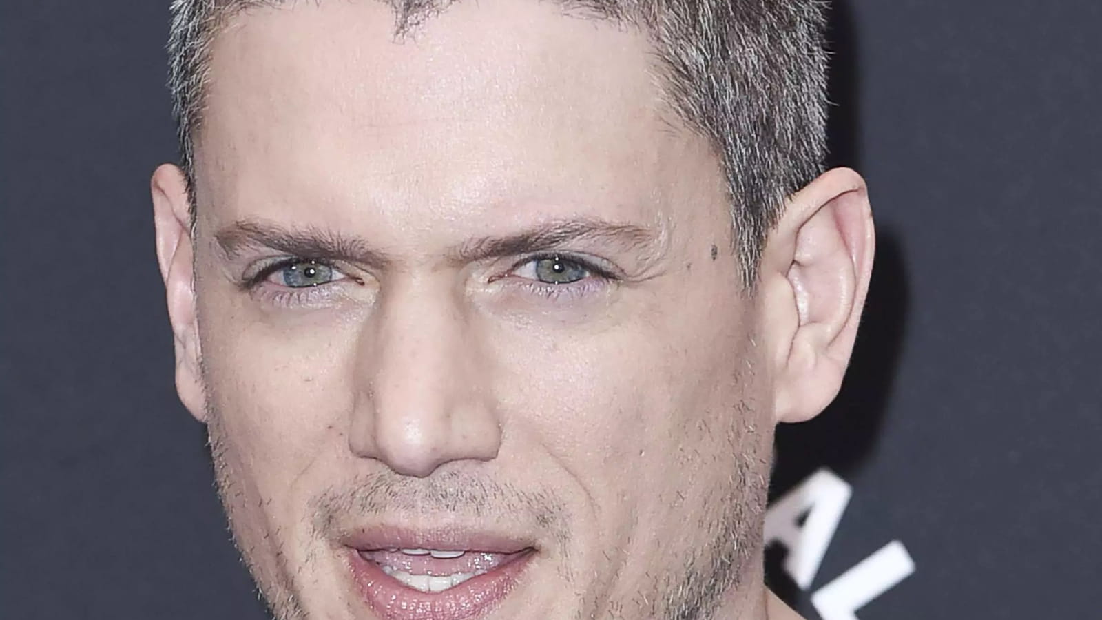 Wentworth Miller