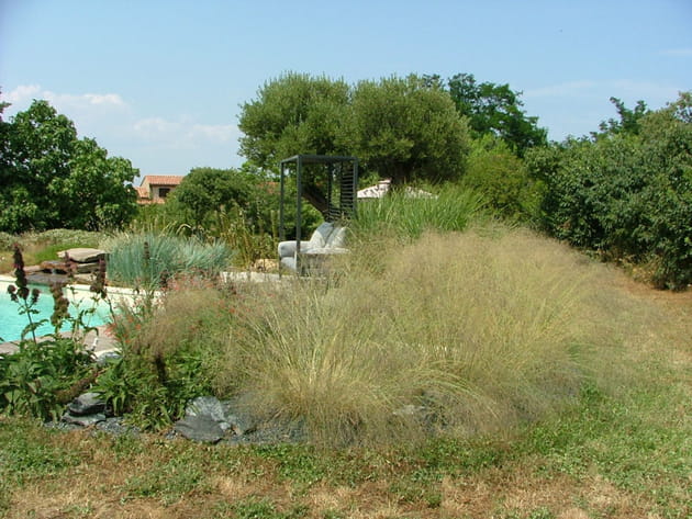 Apr&egrave;s&nbsp;: des gramin&eacute;es pour donner du volume au jardin