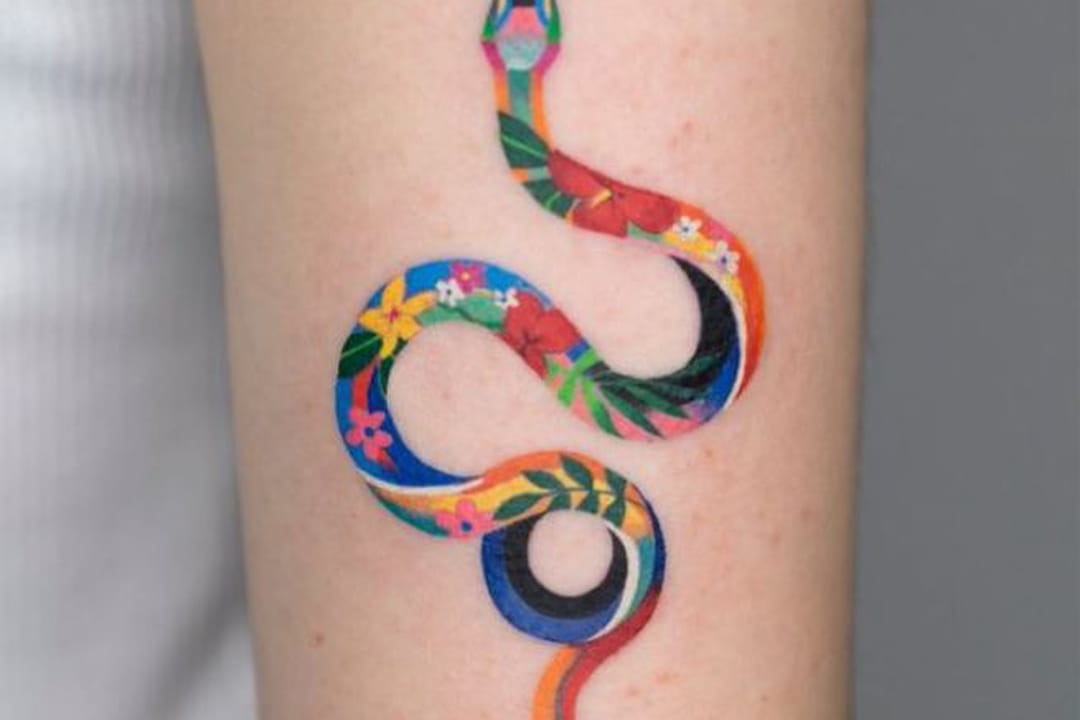 Serpent multicolore sur le bras