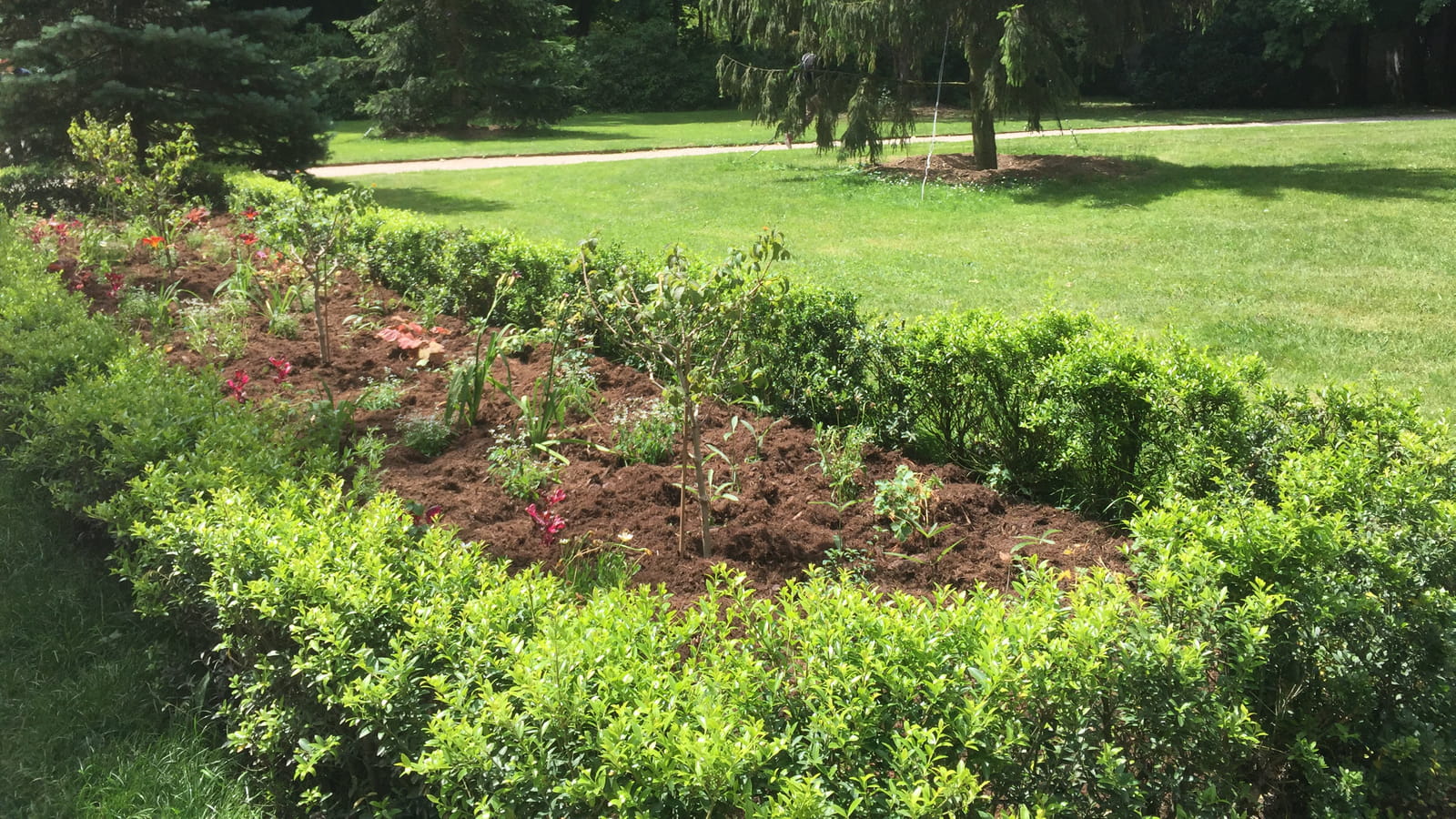 Parterre de fleurs