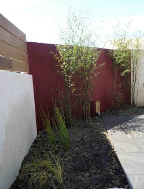 Une palette de végétaux