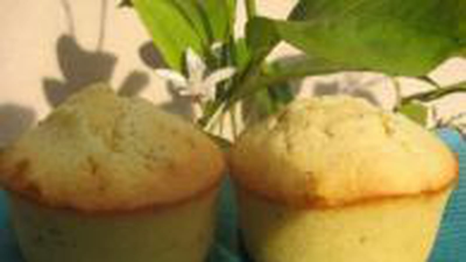 Moelleux citron pavot