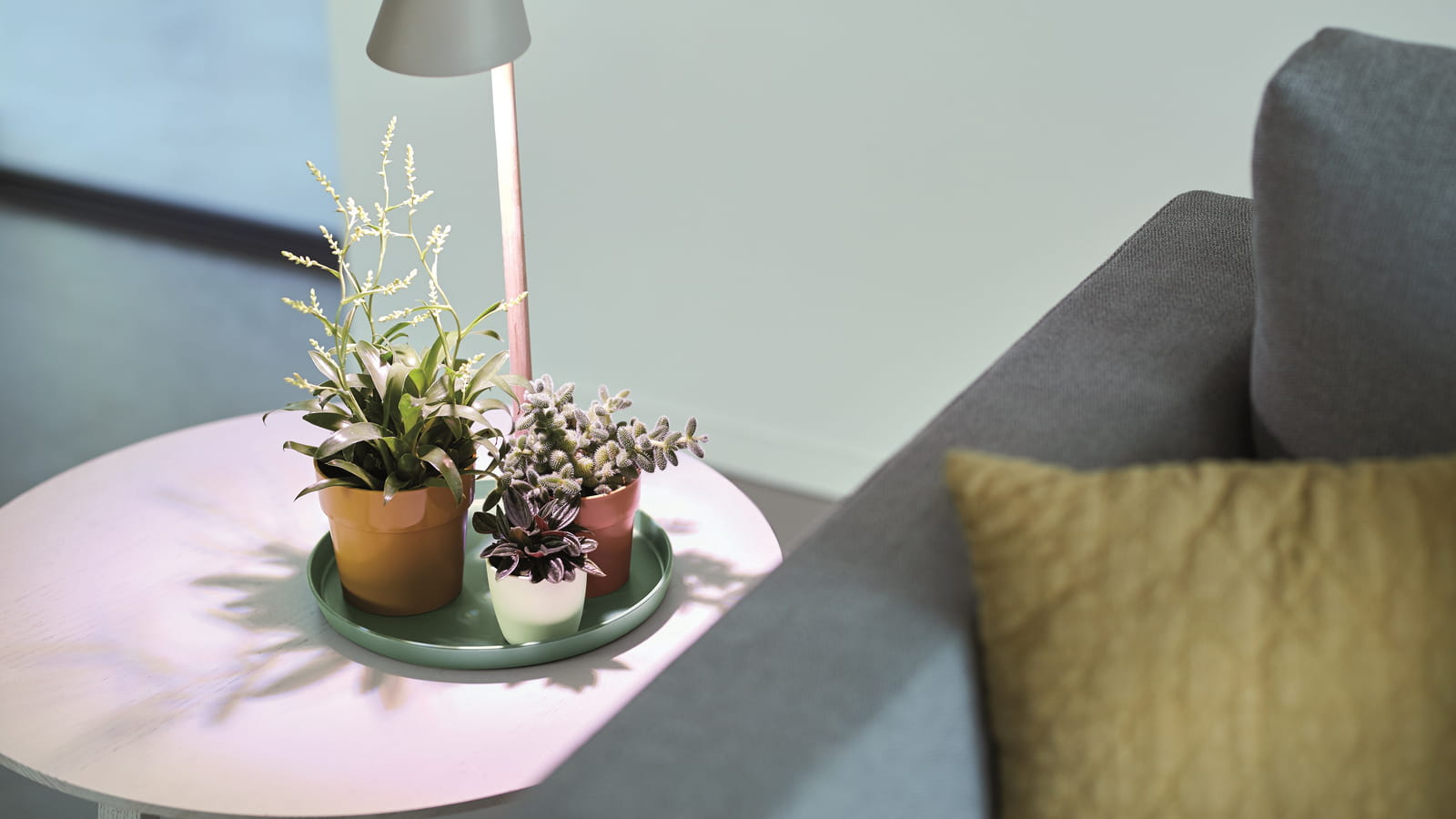 Plant Light Care elho 