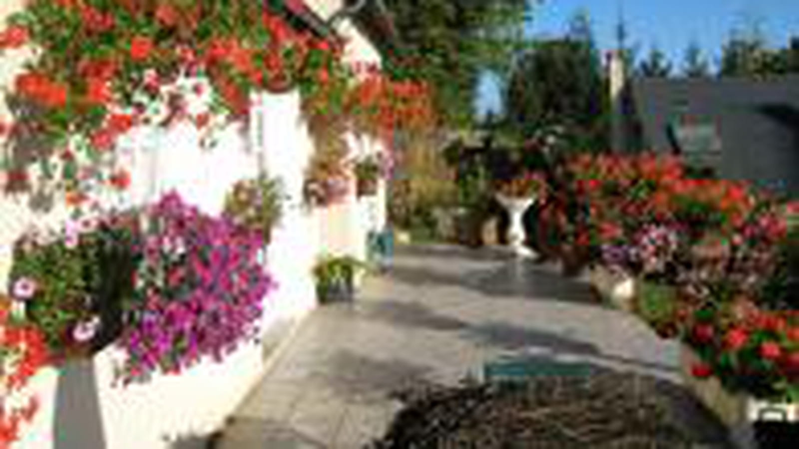 Une maison fleurie en Touraine
